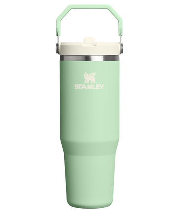 STANLEY IceFlow 2.0 Flip Straw Tumbler with Handle