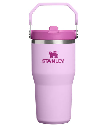 STANLEY IceFlow 2.0 Flip Straw Tumbler with Handle
