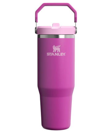 STANLEY IceFlow 2.0 Flip Straw Tumbler with Handle