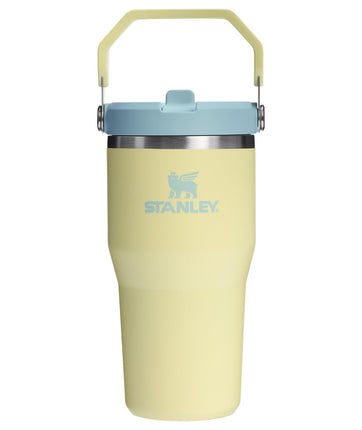 STANLEY IceFlow 2.0 Straw Cup with Handle, 590 ml,