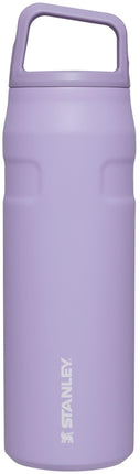 Stanley IceFlow 24 oz Cap and Carry+ Water Bottle