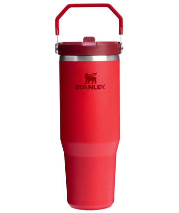 STANLEY IceFlow 2.0 Flip Straw Tumbler with Handle