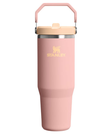 STANLEY IceFlow 2.0 Flip Straw Tumbler with Handle