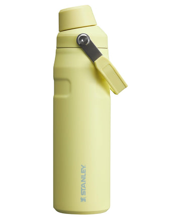 Stanley IceFlow Fast Flow Water Bottle 24 oz | Ang