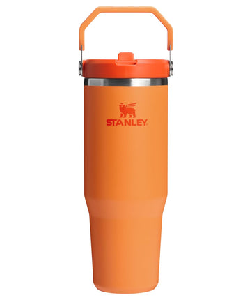 STANLEY IceFlow 2.0 Flip Straw Tumbler with Handle
