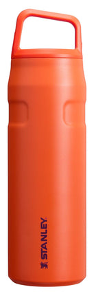 Stanley IceFlow Cap and Carry Water Bottle 24 oz |