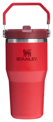 Stanley IceFlow 2.0 Straw Cup with Handle, 20 Ounc