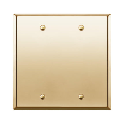 ENERLITES Blank Device Metal Wall Plate, Stainless