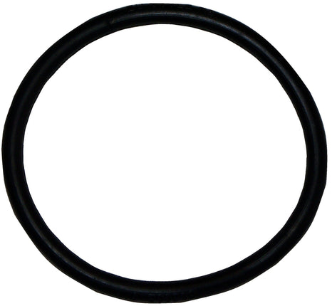 BISSELL BigGreen Commercial BGOR-23 Belt for BG100