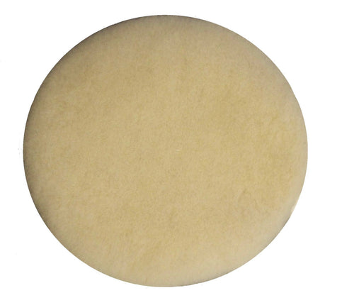 BISSELL BigGreen Commercial 437.054BG Lambs Wool B