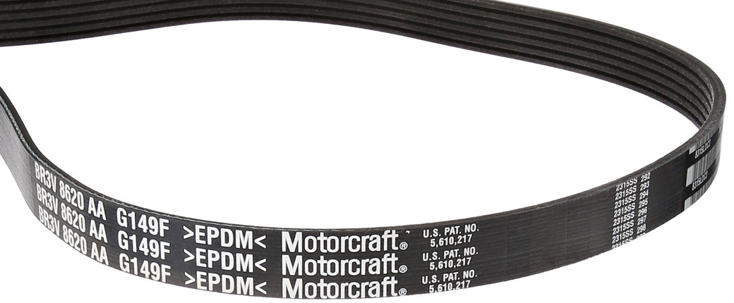 Motorcraft Drive Belt