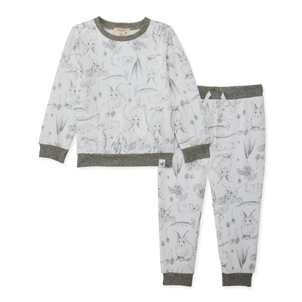 Burt's Bees Baby Baby Boys' Shirt and Pant Set, To