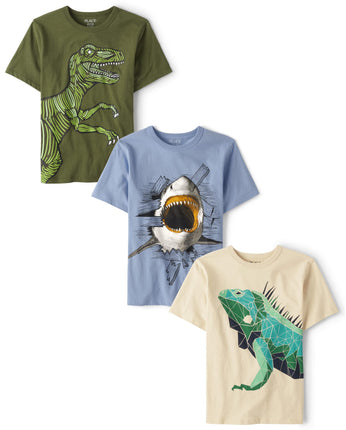 The Children's Place Boys' Gamer Short Sleeve Grap