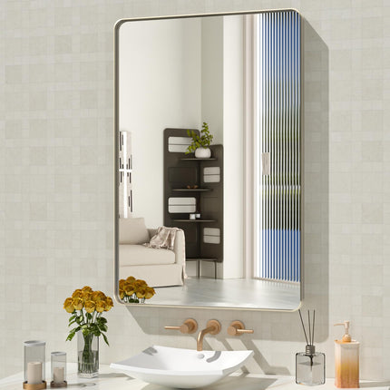 WEER 24X36 Inch Brushed Nickel Bathroom Mirror, Br