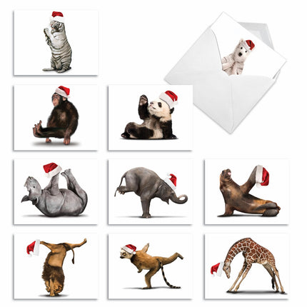 Yuletide Zoo Yoga Christmas Greeting Cards, Boxed