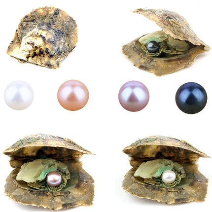 4PCS Saltwater Akoya Cultured Pearl Oyster with Ro