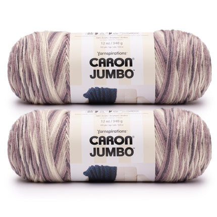 Caron Jumbo Gravel Yarn - 2 Pack of 340g/12 oz - 1