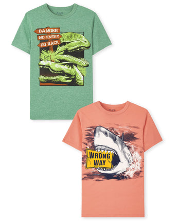 The Children's Place Boys' Short Sleeve Graphic T-