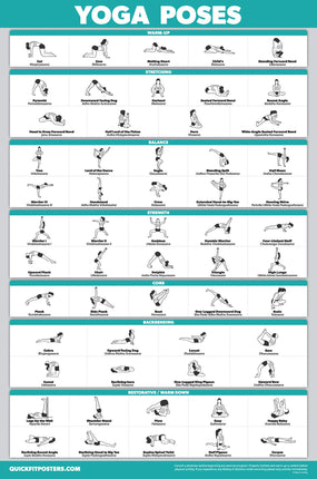 Palace Learning Yoga Position Exercise Poster - Yo