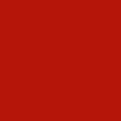 Winsor & Newton 60 ml Professional Acrylic Colour - Quinac Burnt Orange