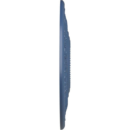 Ekena Millwork CM20VIAMF Vienna Ceiling Medallion, Americana