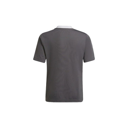 adidas Kids' Entrada 22 Jersey, Grey, Small