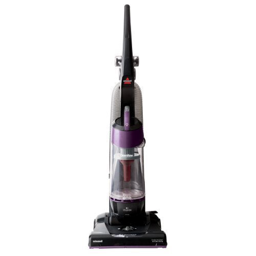 Filtro Bissell Style 1008 para aspiradoras verticales CleanView