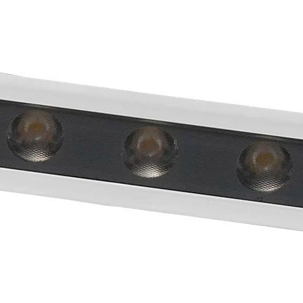 Bosch Lamp Assembly