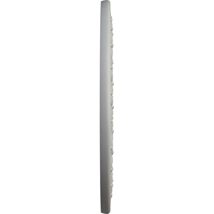 Ekena Millwork CM22RBPCF Robin Ceiling Medallion, Hand-Painted Pot of Cream, 22 1/4" OD x 4 3/4" ID x 1 1/4" P (Fits Canopies up to 6 1/4")