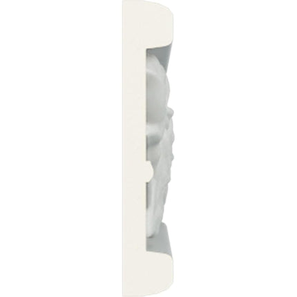 Ekena Millwork CHA02X01RO-CASE-2 Chair Rail, Factory Primed
