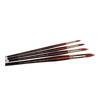 WN Galleria L.H. Round Brush 4, ECFGLHR4 Transparent