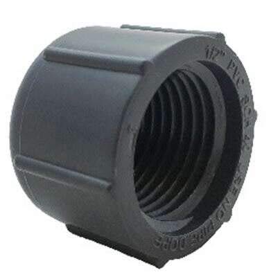 Orbit 1/2 in. FPT Grey Cap 2-Pack