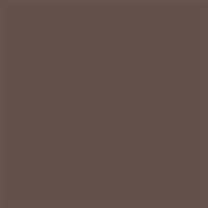 Winsor & Newton BrushMarker - Warm Grey 5