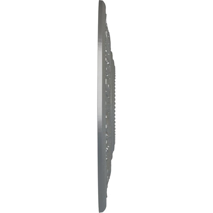 Ekena Millwork CM20VISLS Vienna Ceiling Medallion, Silver
