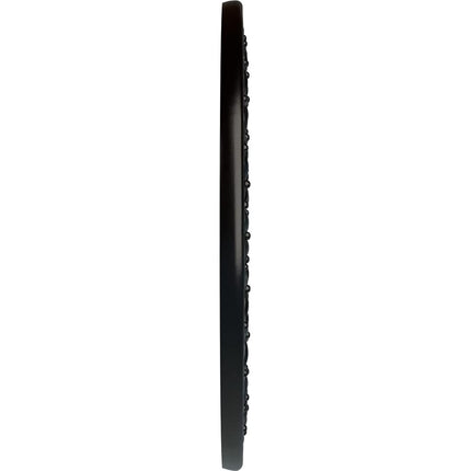 Ekena Millwork CM22RBBLF Robin Ceiling Medallion, Hand-Painted Jet Black, 22 1/4" OD x 4 3/4" ID x 1 1/4" P (Fits Canopies up to 6 1/4")
