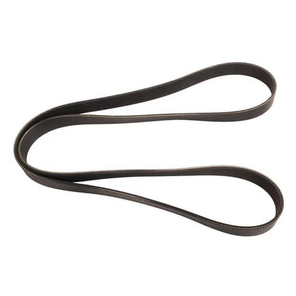 Continental Elite 4080893 Poly-V Belt