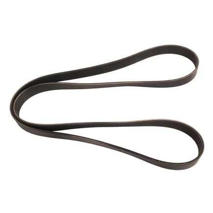 Continental Elite 4080893 Poly-V Belt