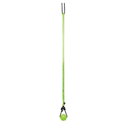 Jolly Pets Tree Tugger,Green