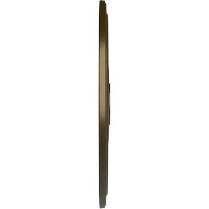 Ekena Millwork CM24DIBRS Diane Ceiling Medallion, Brass