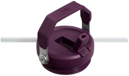 Stanley IceFlow Vaso térmico de acero inoxidable, botella de agua aislada al vacío para el hogar y el coche, taza reutilizable con pajita, tapa resistente a fugas, mantiene el frío durante 12 horas o helado durante 2 días, Tigerlily Plum, 30 oz / 0.89 L