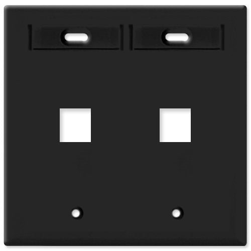 Leviton 42080-2EP Placa de pared QuickPort de doble banda con ventanas de identificación, negra, 2 puertos