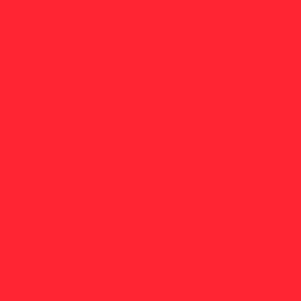 Liquitex Professional Wide Paint Marker, Quinacridone Crimson