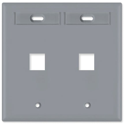Leviton 42080-2GP 2-Port Dual Gang QuickPort Wallplate with ID Windows, Grey