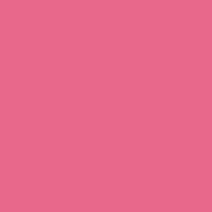 Joy SMRTIO Pink 5.5X24