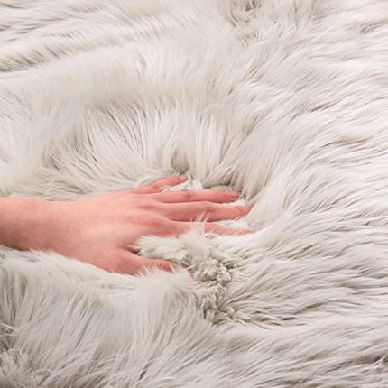 EasyJoy Faux Fur Soft Fluffy Single Sheepskin Style Rug Chair Cover Seat Pad Shaggy Area Rugs for Bedroom Sofa Floor (2 x 3 ft Sheepskin, Light Grey)