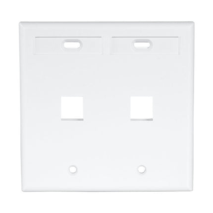 Leviton 42080-2WP 2-Port Dual Gang QuickPort Wallplate with ID Windows, White