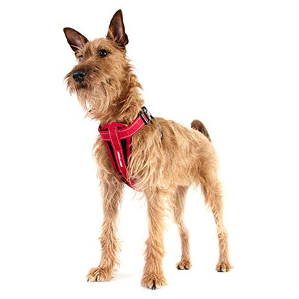 EzyDog Chest Plate Dog Harness - with Free Car Restraint - Best No Pull Harnesses for Small, Medium and Large Dogs - Custom Fit,Reflective, Easy Fit (L,Corduroy)
