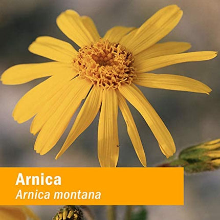 Herb Pharm Arnica Oil - 4 Ounce