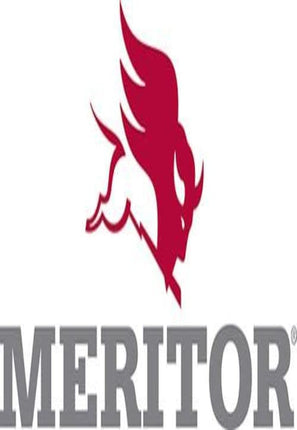 Meritor Stud Kit - R307868