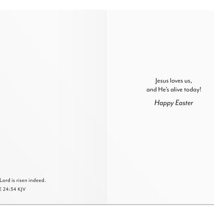 DaySpring - aster Blessings - 8 Design Assortment with Scripture - 24 Easter Boxed Cards and Envelopes (U1617)